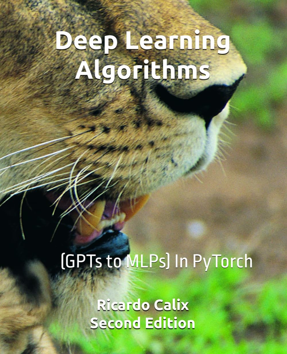 Deep Learning Algorithms Book